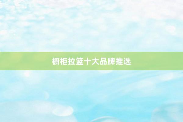 橱柜拉篮十大品牌推选