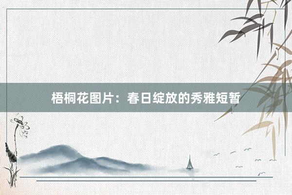 梧桐花图片：春日绽放的秀雅短暂
