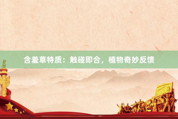 含羞草特质：触碰即合，植物奇妙反馈