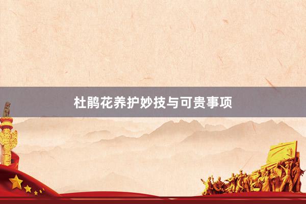 杜鹃花养护妙技与可贵事项